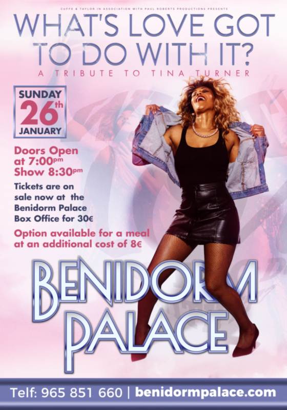 Tina Turner Tribute  tina turner tribute